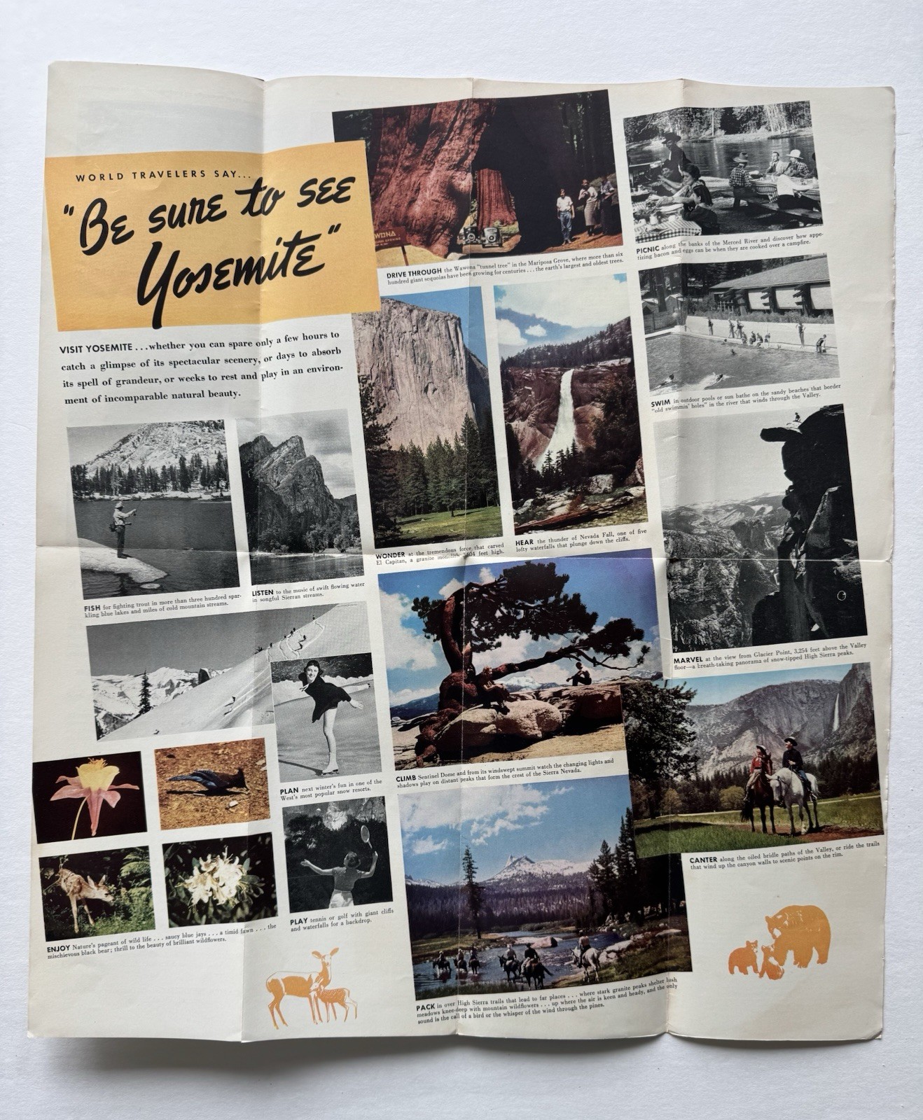 Yosemite 1939 Brochure Pamphlet w/ maps rooms color photos Yosemite CA