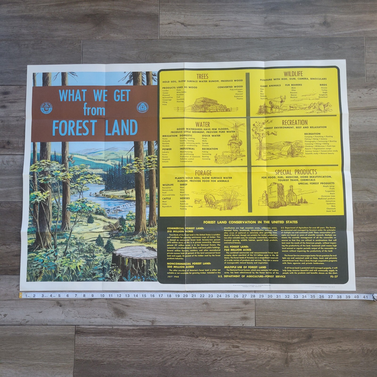 Vintage 1968 US National Forest Service Poster Educational Smokey the Bear 40×32