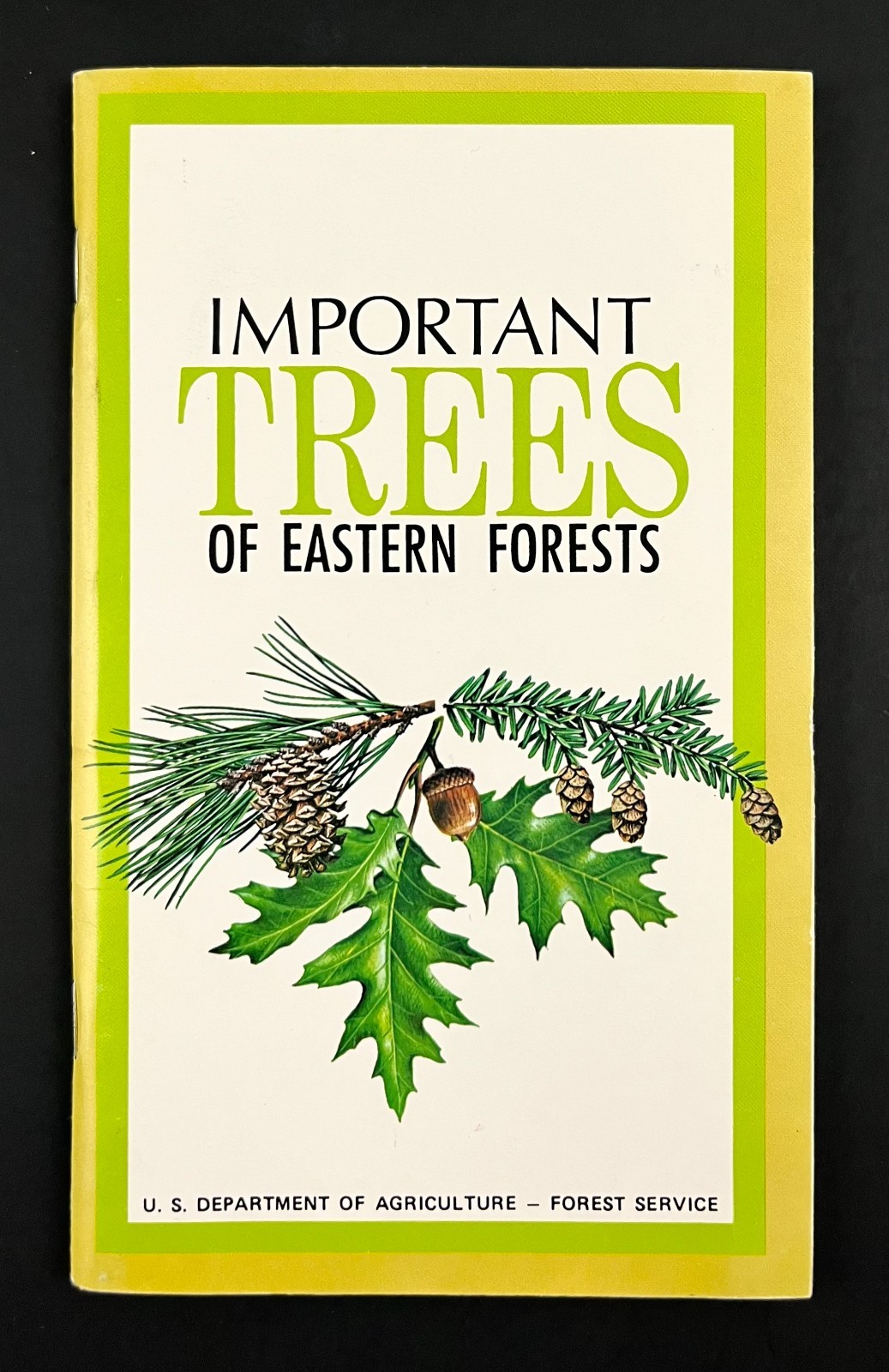 1979 USDA Eastern Forests Important Trees Nature Guide Vintage Travel Booklet