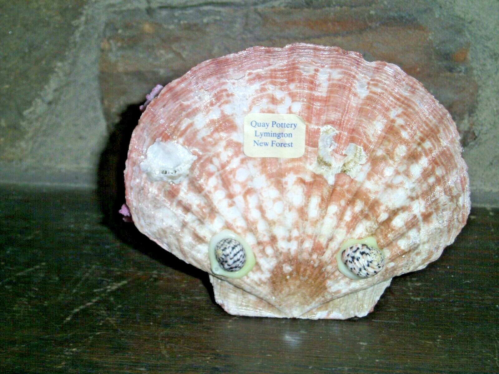 Vtg Shell Art Souvenir Quay Pottery Lymington New Forest National Park UK