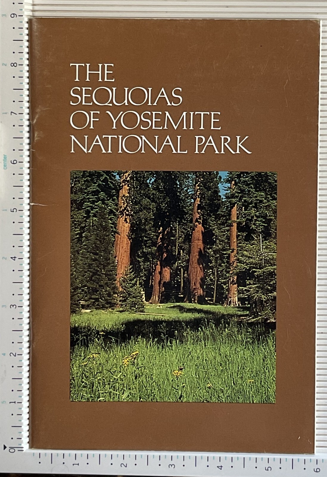 1970 Yosemites Famous Guests by Shirley Sargent & The Sequoias of Yosemite Park
