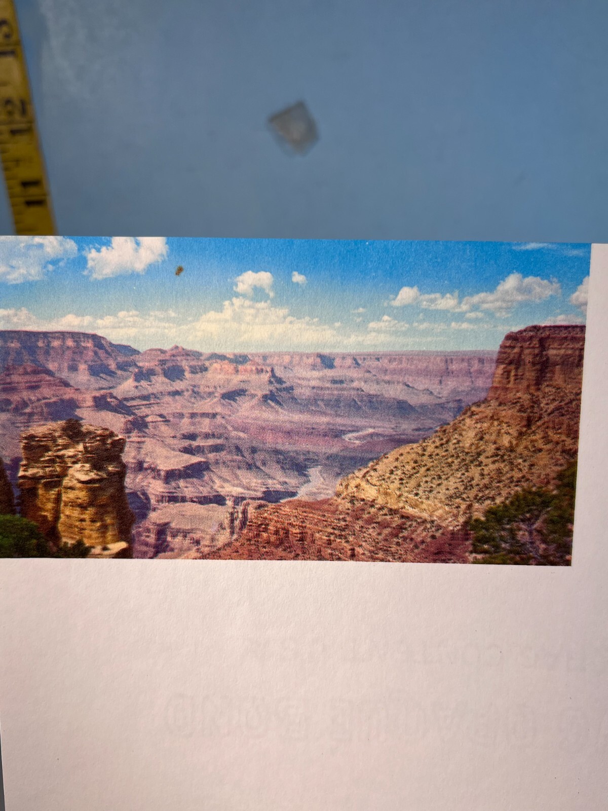 Vintage Fred Harvey Grand Canyon National Park Amfac Company Letterhead
