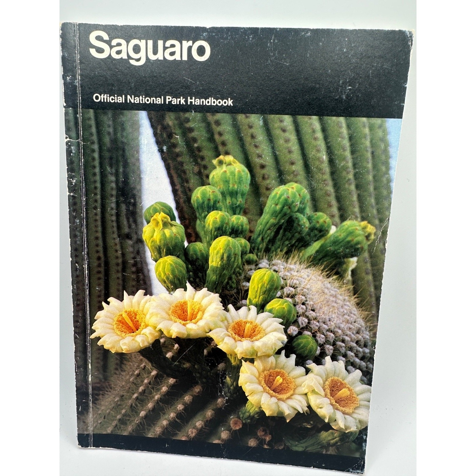 Saguaro National Park Official Handbook 1985 Arizona National Park Service
