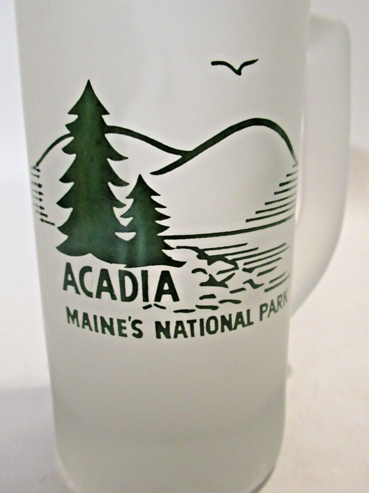 Acadia National Park Souvenir Frosted Glass Drinking Mug