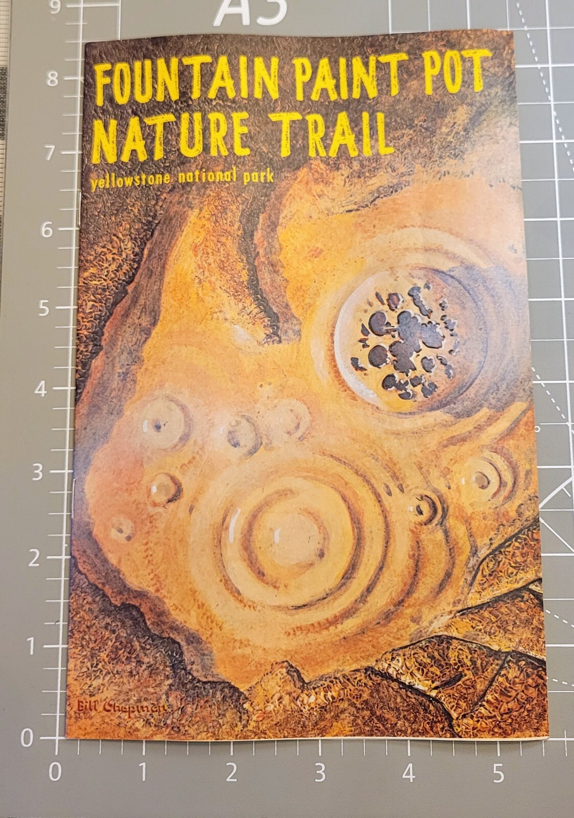 Vtg Bklt Fountain Paint Pot Nature Trail Yellowstone Nat’l Park 1983 Bill Chapma