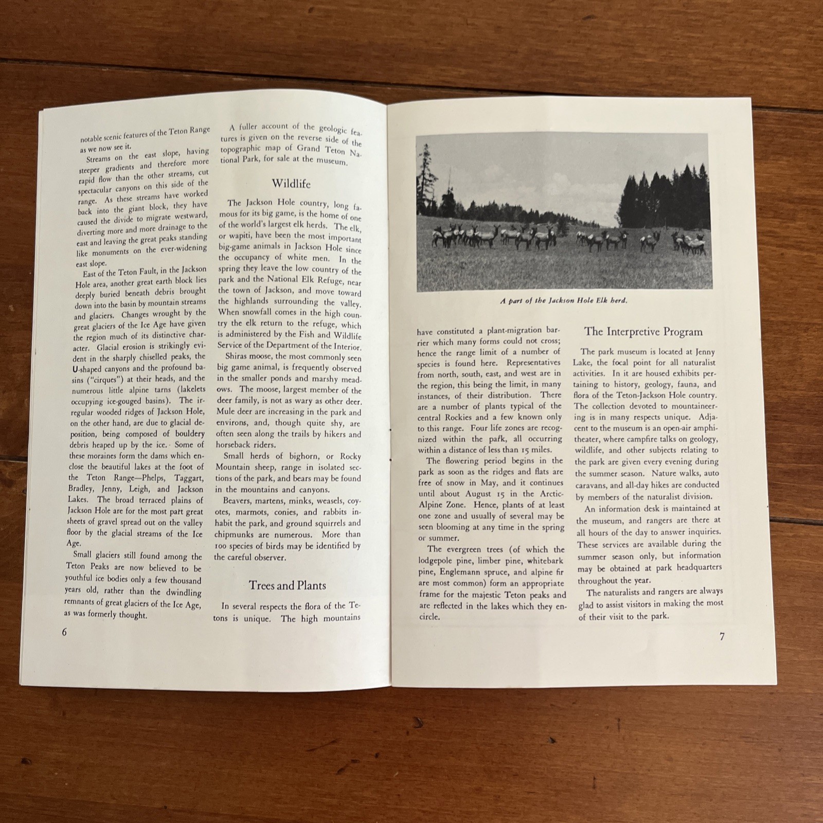 Vintage 1951 Grand Teton National Park Brochure Pamphlet Map Guide Info booklet