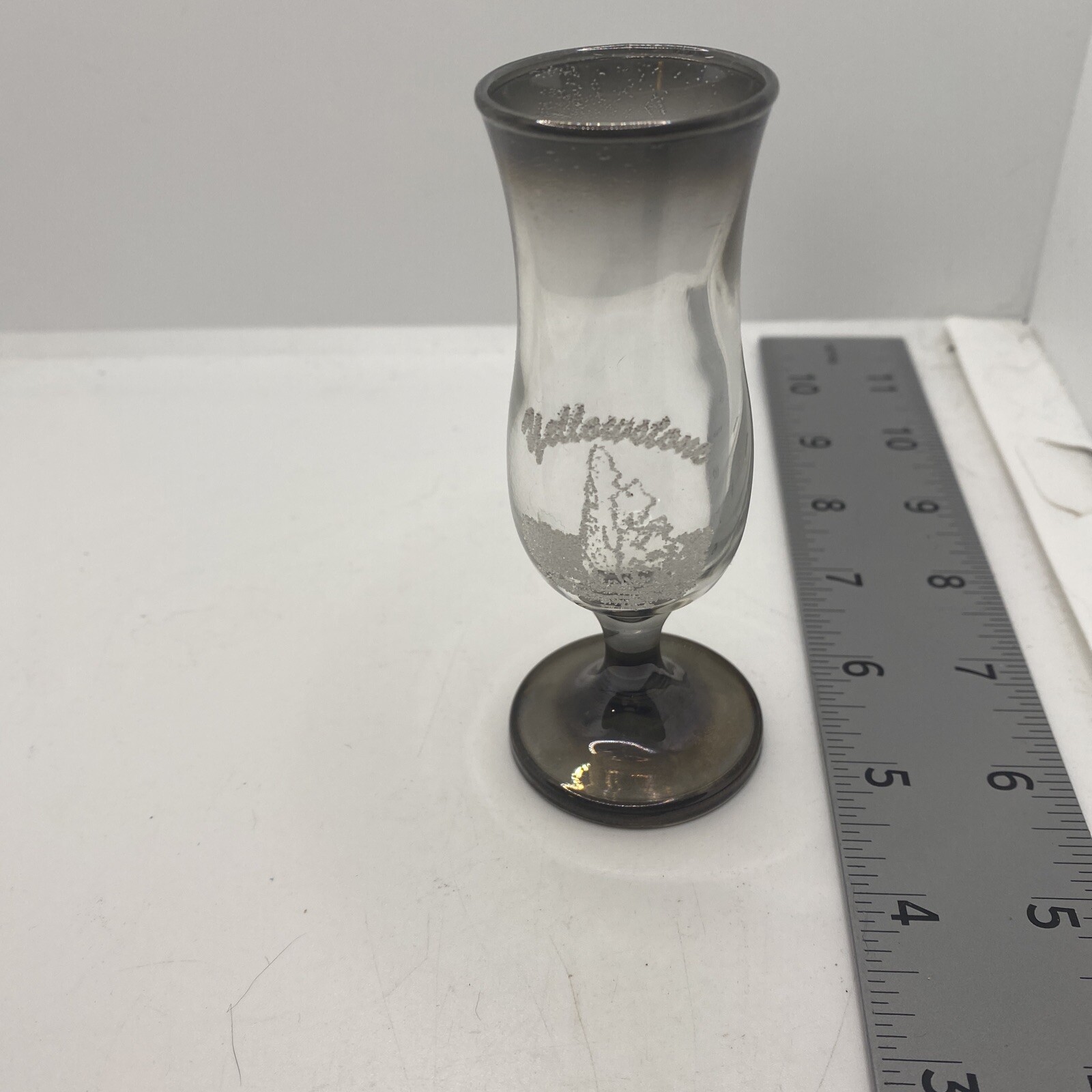Yellowstone National Park Etched Glass or Vase 61B-868F