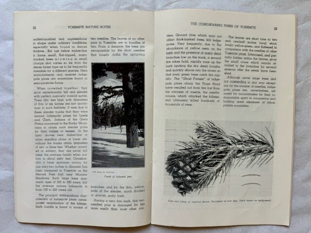 Yosemite Booklets of Wildflowers, Trees, Geology Rare 1938-39