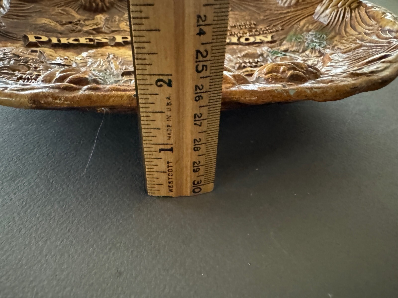 VINTAGE EMBOSSED TACO PIKES PEAK REGION SOUVENIR RESIN WALL HANGING PLATE TRAY