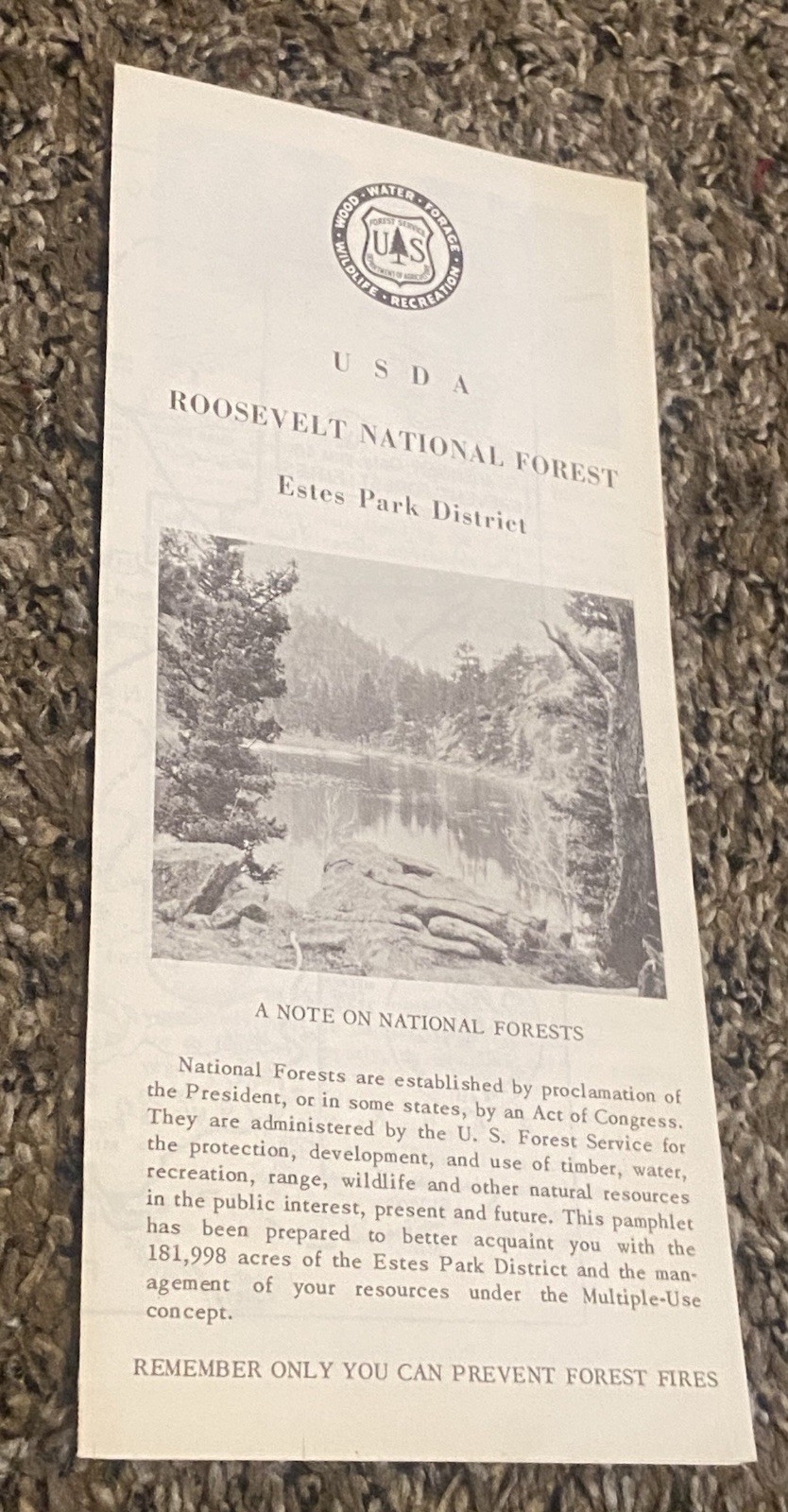 Vtg USDA Estes Park Roosevelt National Forest Brochure Map Smokey Bear Colorado