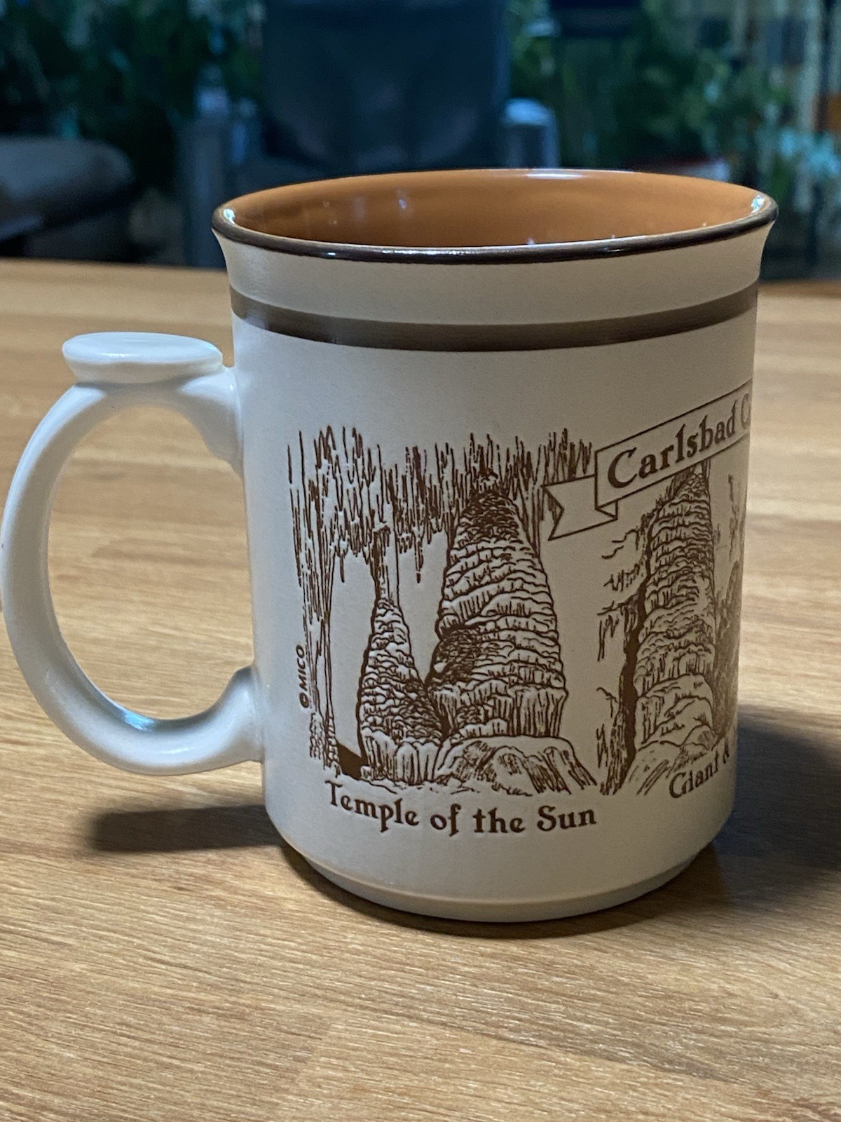 Carlsbad Caverns National Park Embossed Ceramic Coffee Mug New Mexico NOS