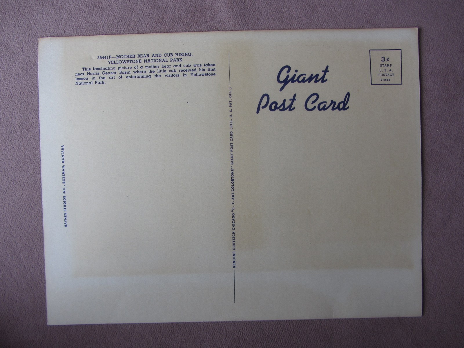Vintage Giant Linen Post Card Mother Bear +Cub Hiking Yellowstone National Park