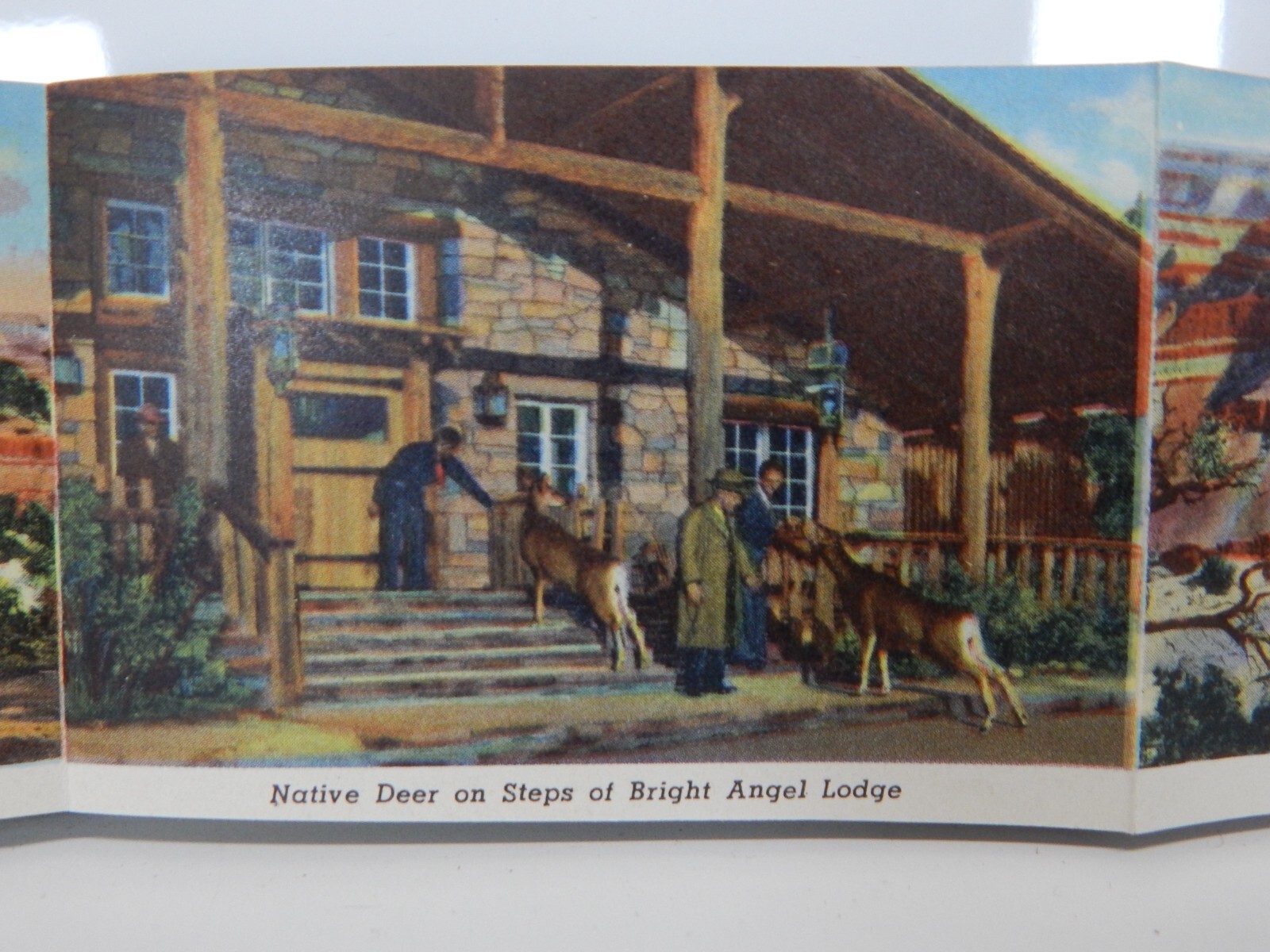 Vintage Grand Canyon National Park Souvenir Picture Booklet 1951