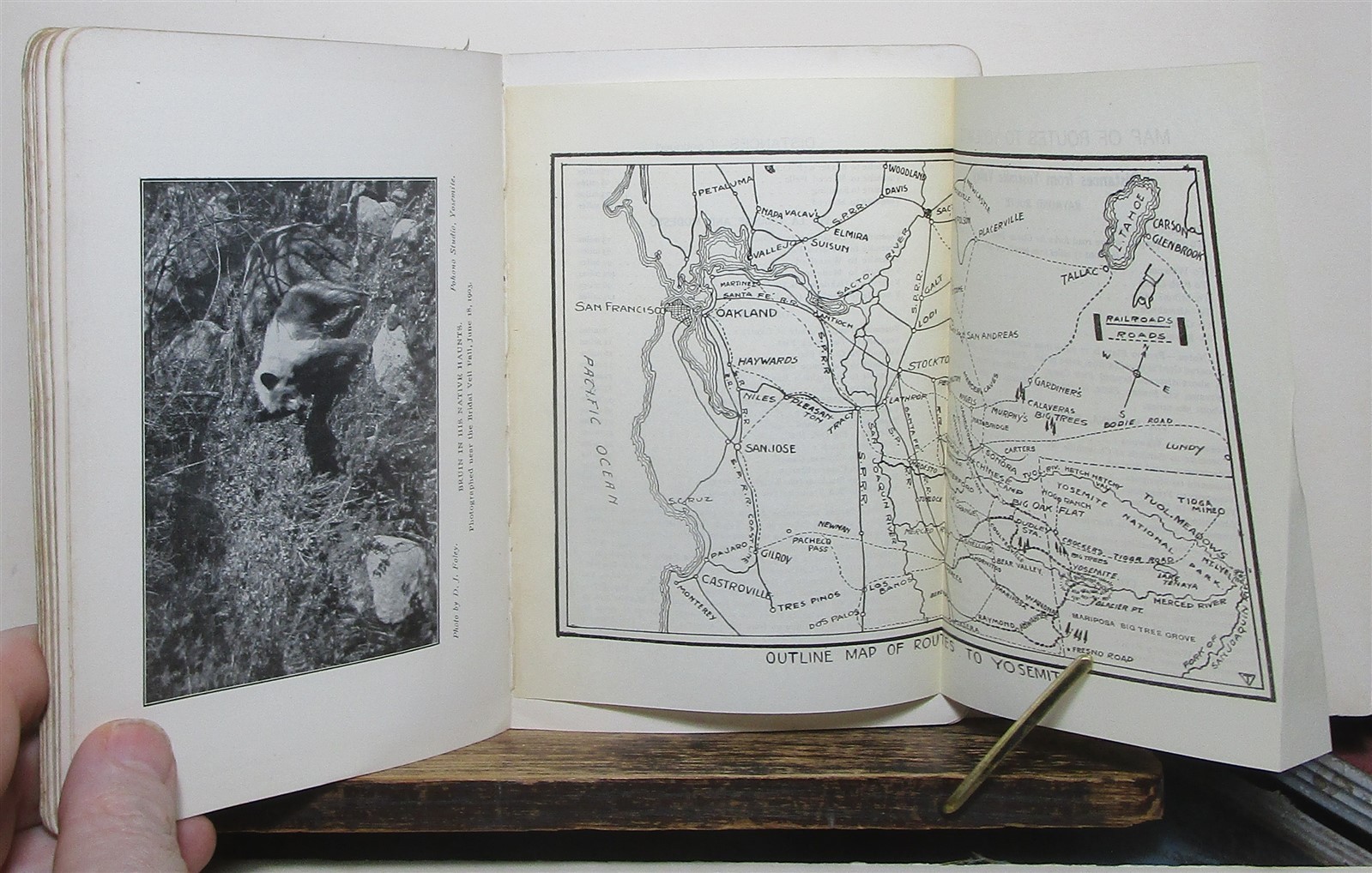 1905 Foley’s Yosemite Souvenir & Guide