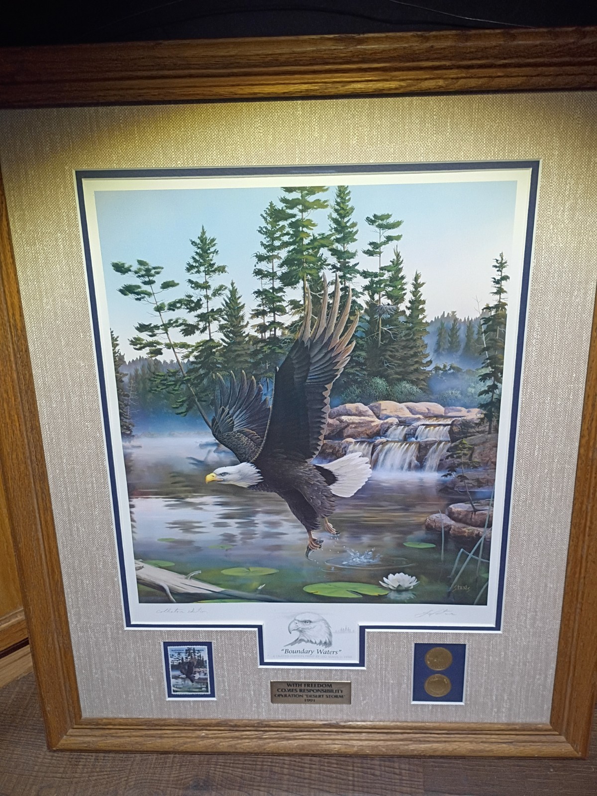 Desert Storm National Parks Bald Eagle Boundary Waters Leo Stans 1990 Framed