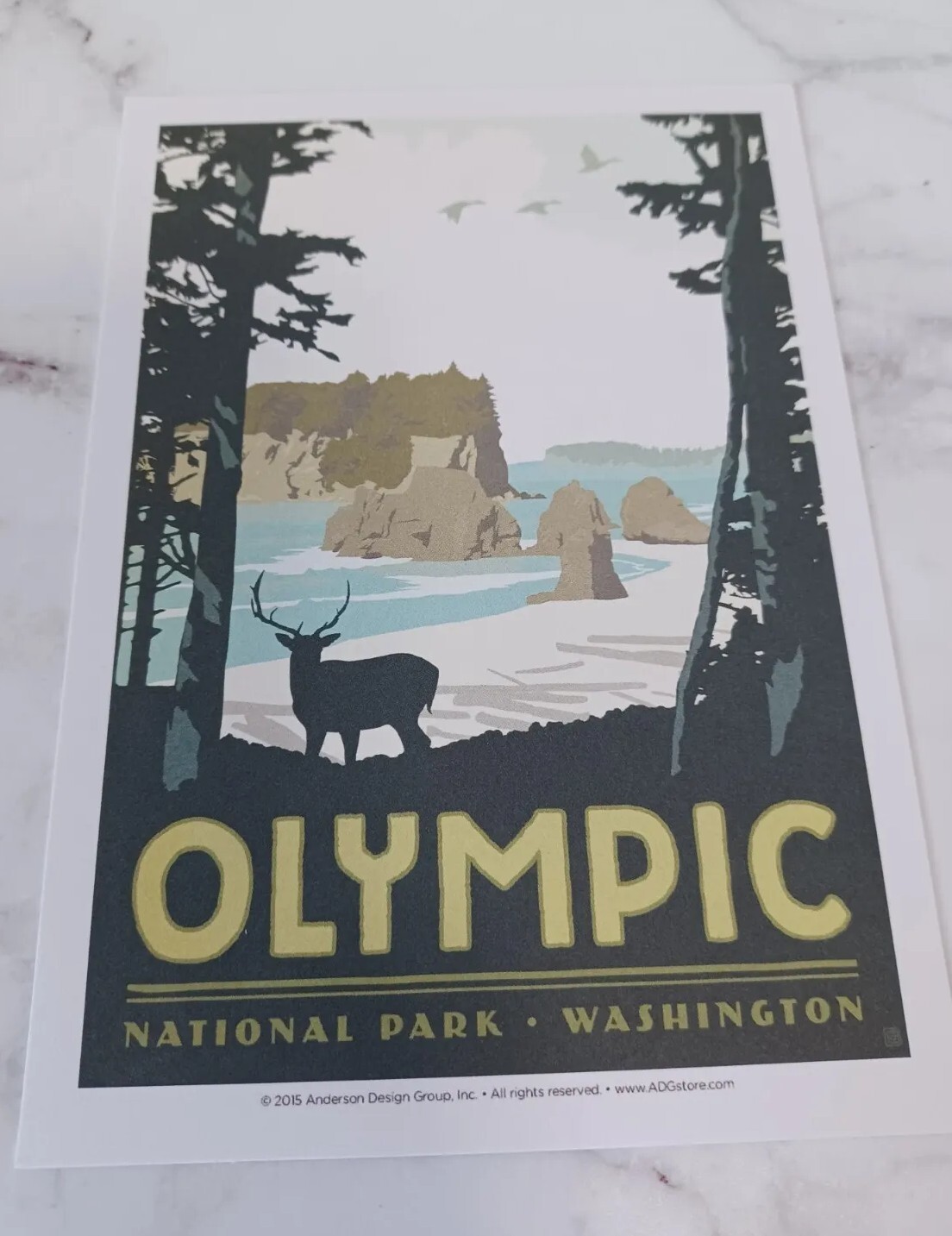 Olympic National Parks 100th Anniversary Illustrated Print Post Card
