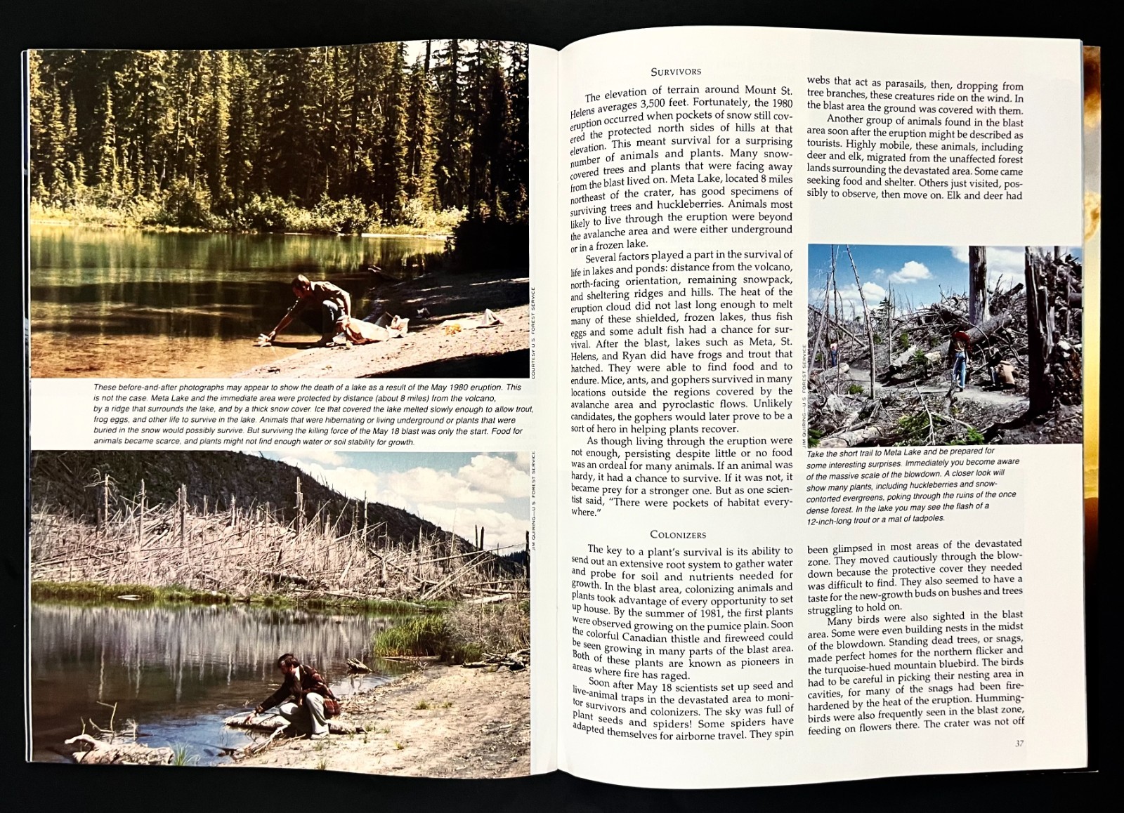 1992 Mount St Helens Volcano Park Nature Animals Tourist Photo VTG Travel Book