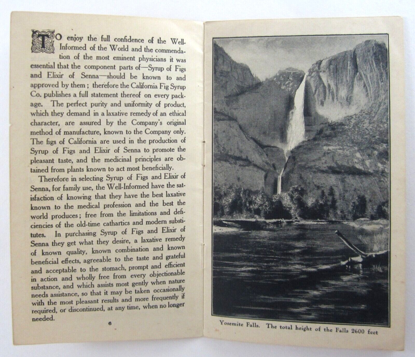 Vintage Yosemite Valley Lake Tahoe Medicine Brochure California Fig Syrup 1900s