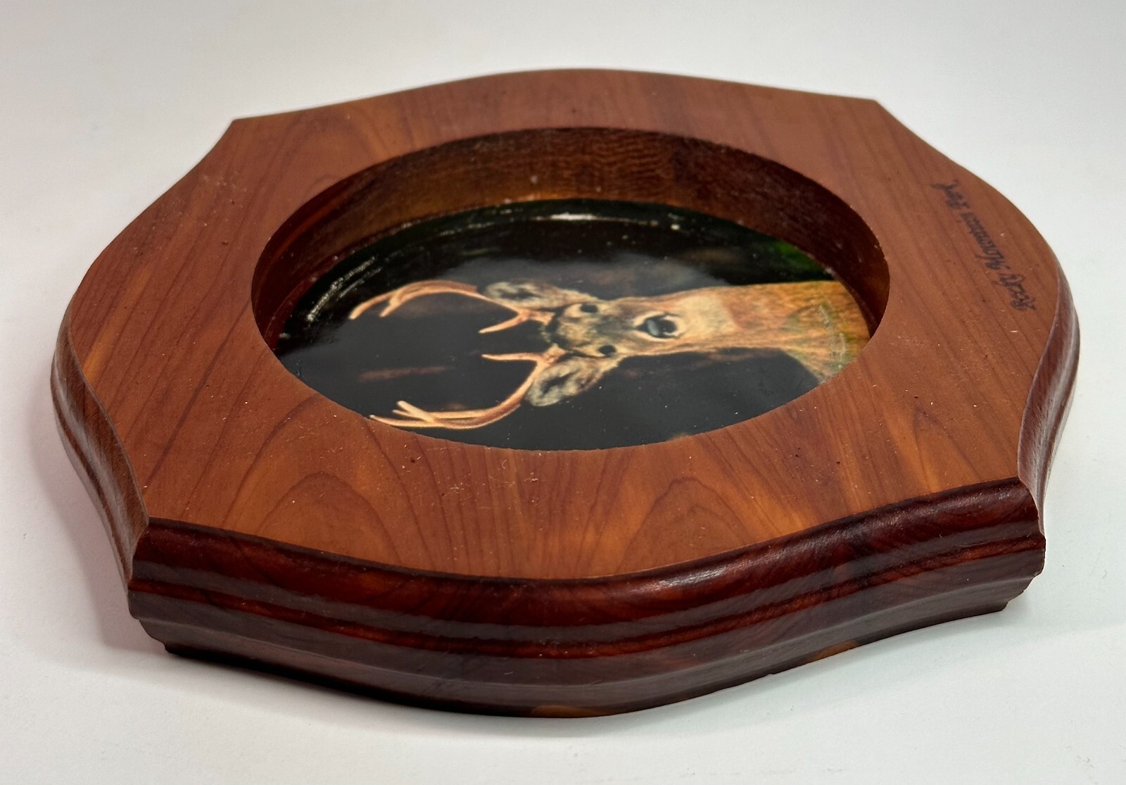 Vintage Rocky Mountain National Park ASHTRAY WOOD AND GLASS WITH DEER