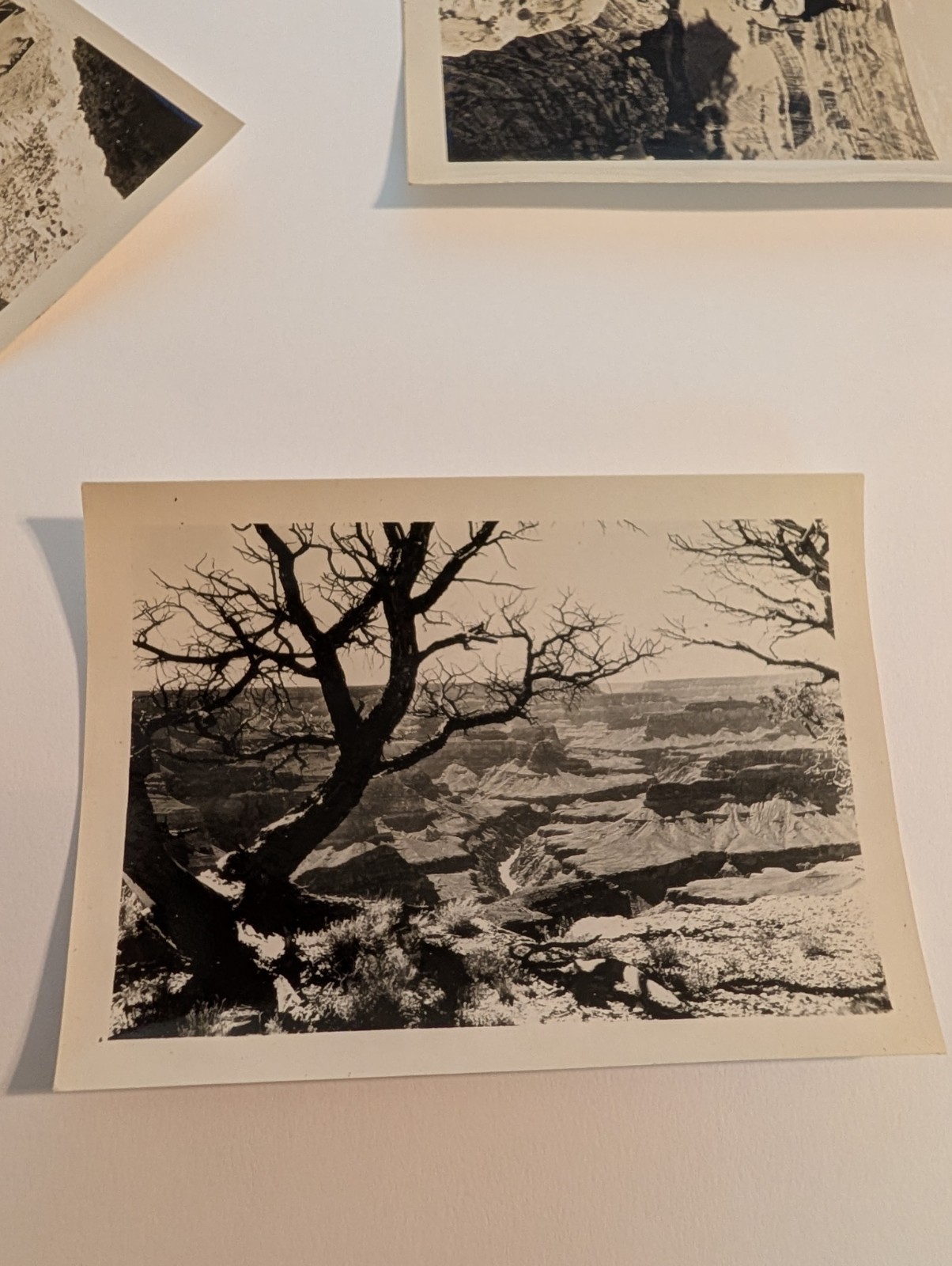 Vintage Selected Photographs Grand Canyon National Park Published by Fred Harvey
