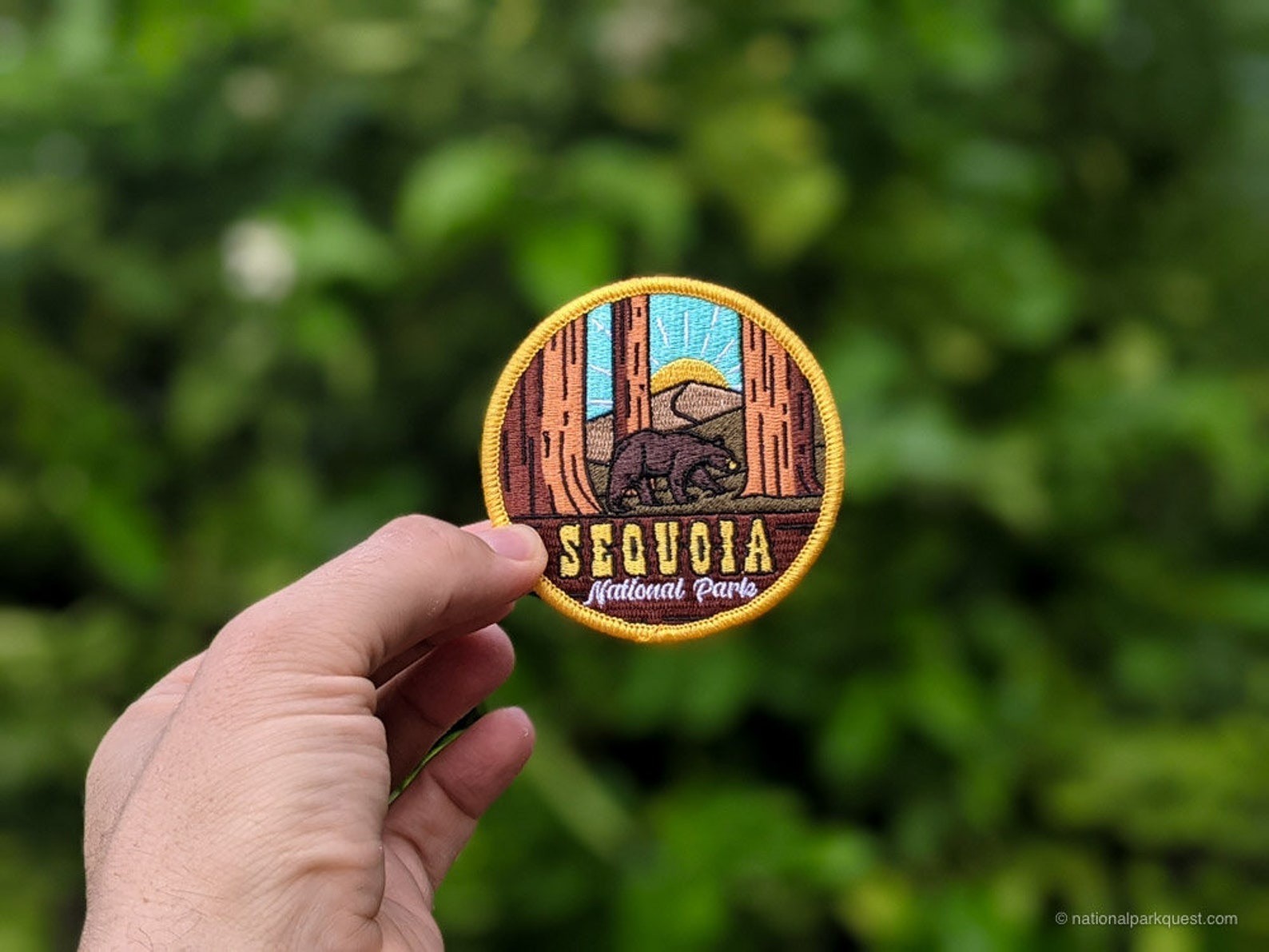 Sequoia National park Patch Iron-On Applique Souvenir Gift
