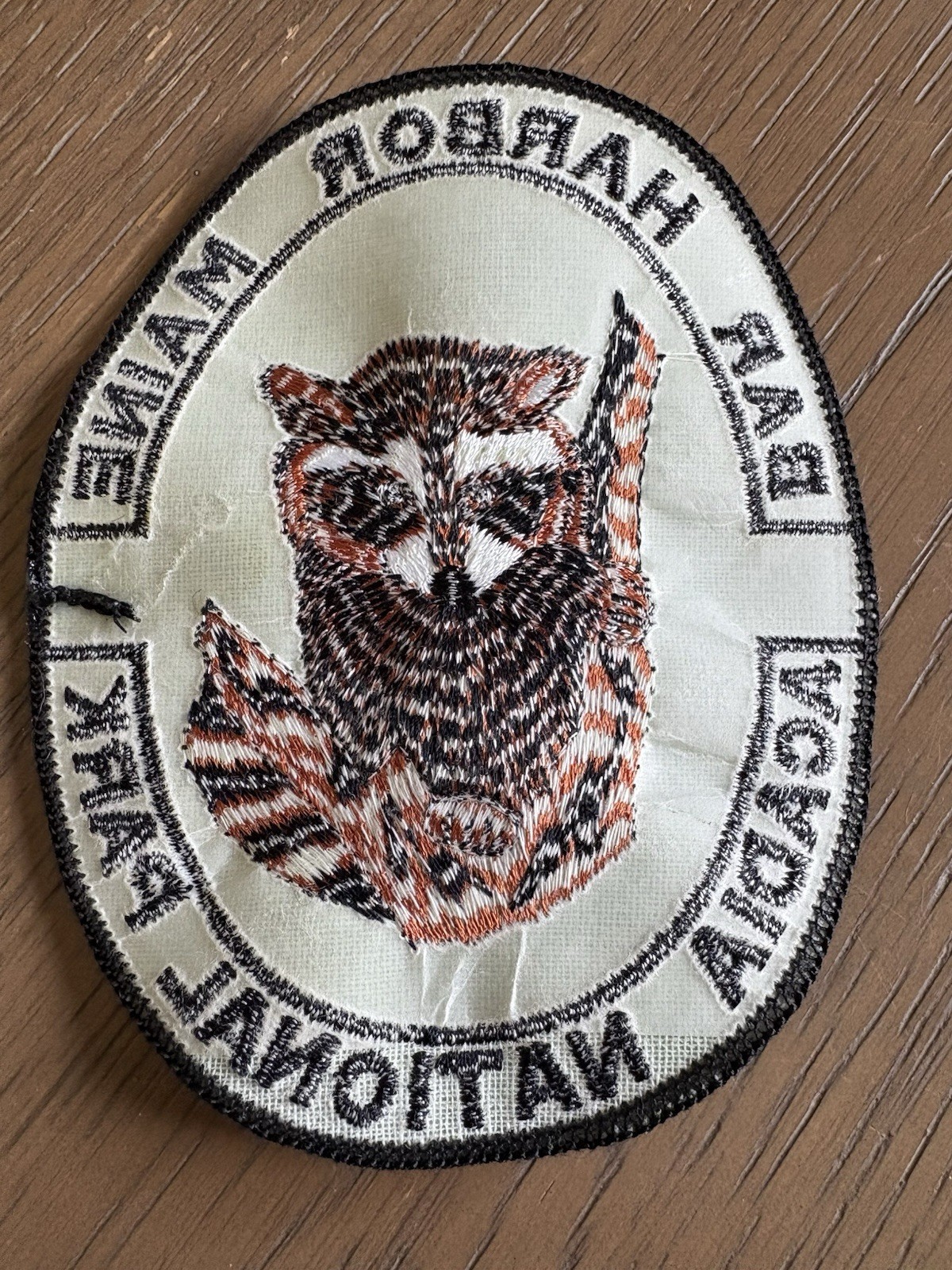 Bar Harbor Maine Acadia National Park Raccoon Patch Green 5×4”