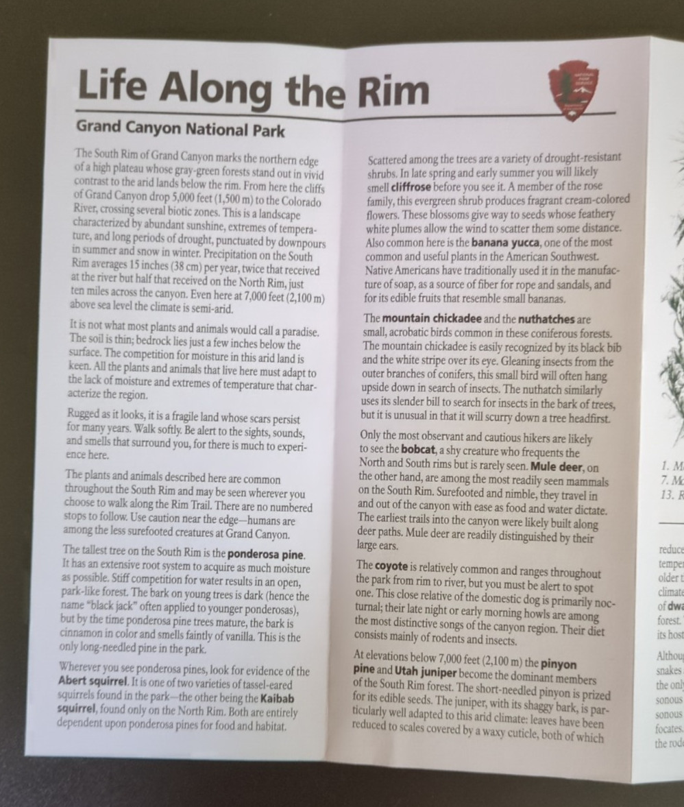 Grand Canyon National Park Geology/Life Along the Rim Brochure
