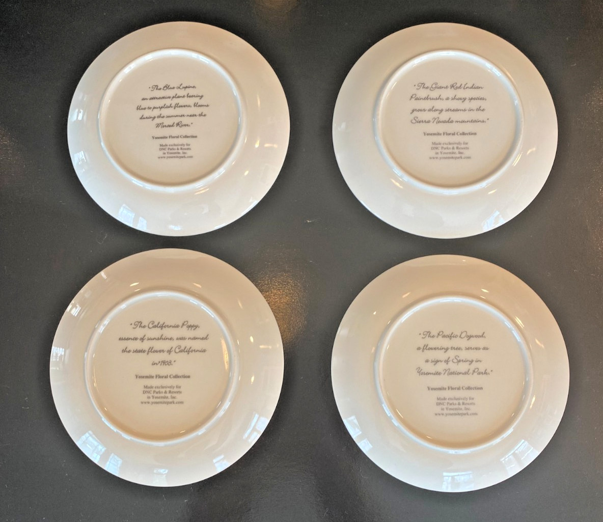 Yosemite Floral Collection/DNC Parks and Resorts/Plates/Set of 4/New