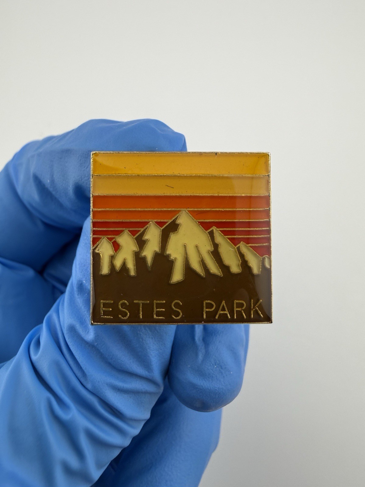 Estes Park Rocky Mountain National Park Sunset Enamel Lapel Pin VTG?