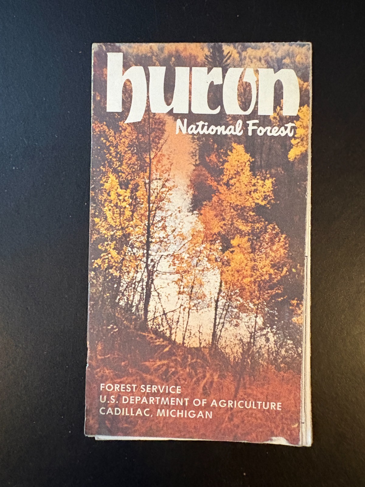 1978 Huron National Forest Michigan Brochure, Map Ephemera