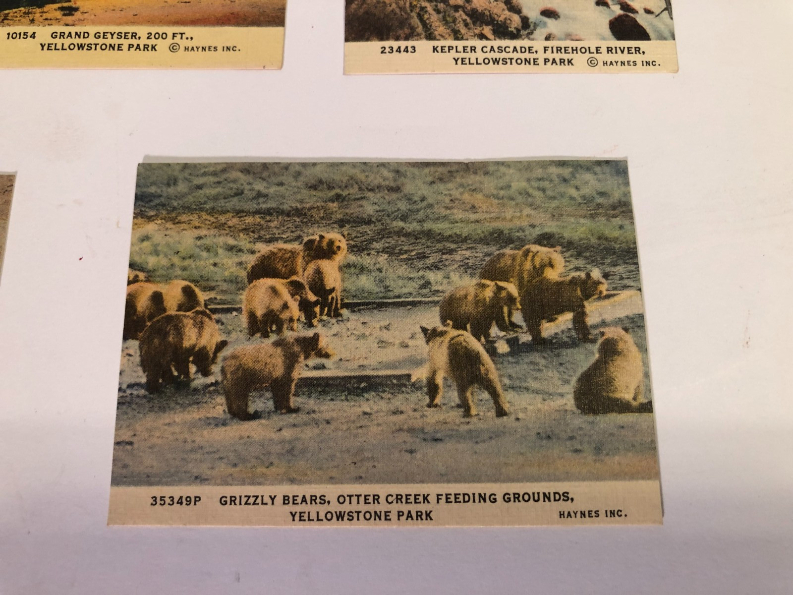 10 Haynes Inc small (2.5 x 3.5) Yellowstone color prints