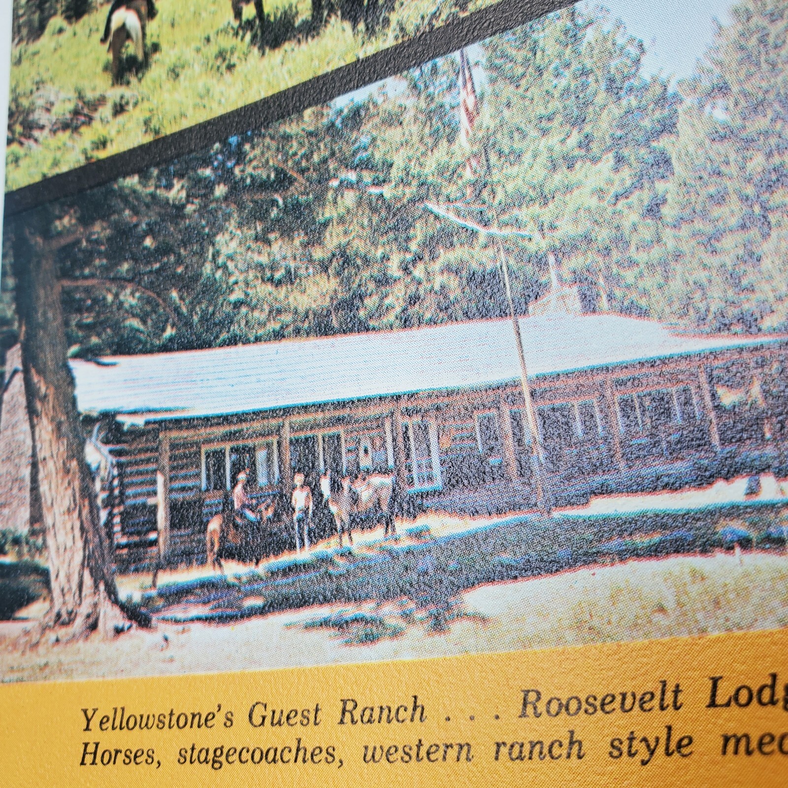 Yellowstone National Park Booklet Map Brochure 1960s Bears Map Ranch Color