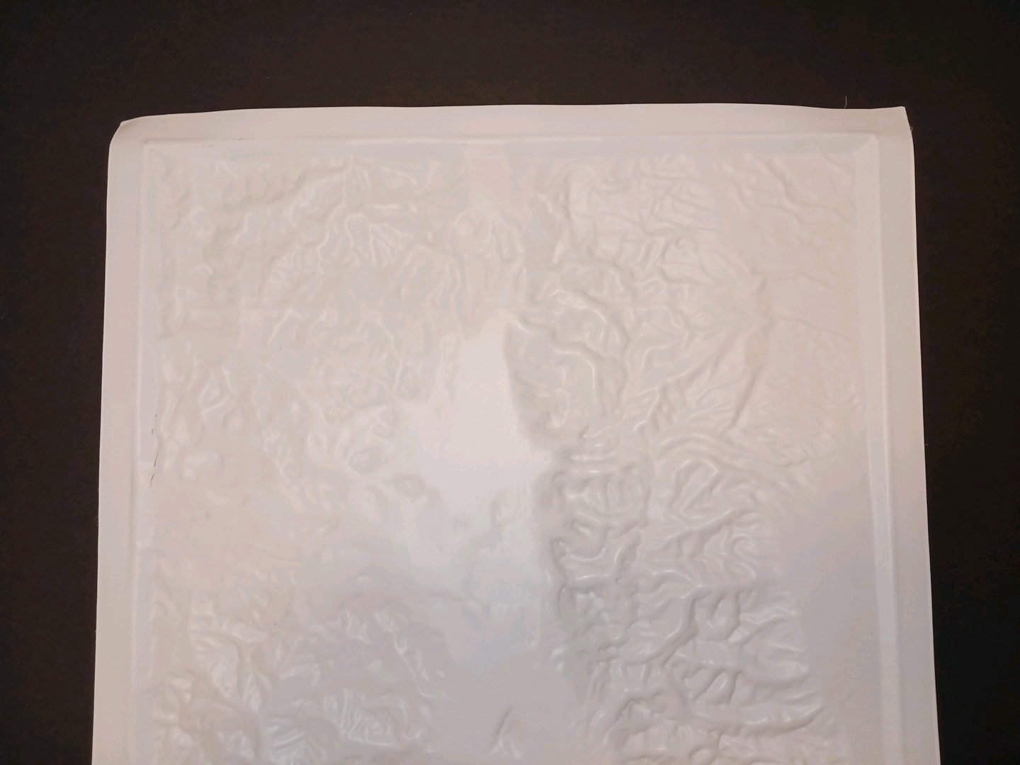 Vintage Grand Teton National Park Area Map 3D Raised Relief 1983