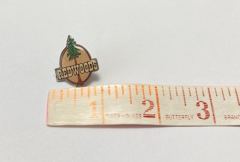 Vintage Redwoods Park California Epoxy Lapel Pin Single Giant Tree Pinback