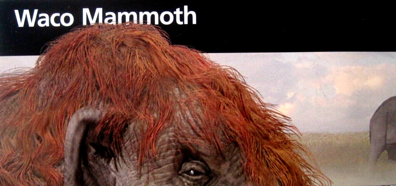 Waco Mammoth National Monument National Park Service Unigrid Brochure Map