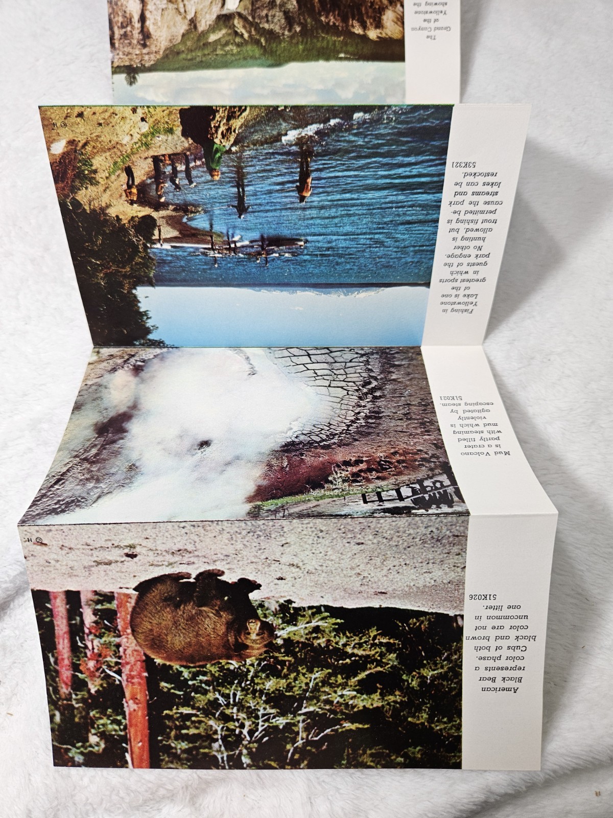YELLOWSTONE NATIONAL PARK 1957 “PICTURAMIC” Unused Post Card With Photos