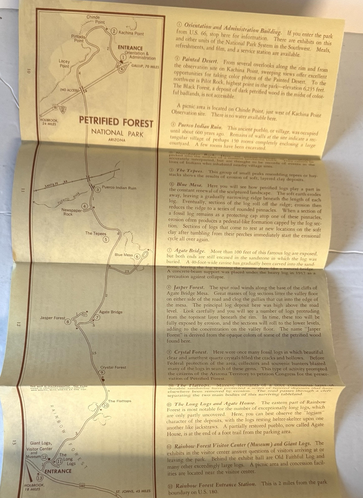 Vintage 1963 The Petrified Forrest National Park Arizona Travel Brochure
