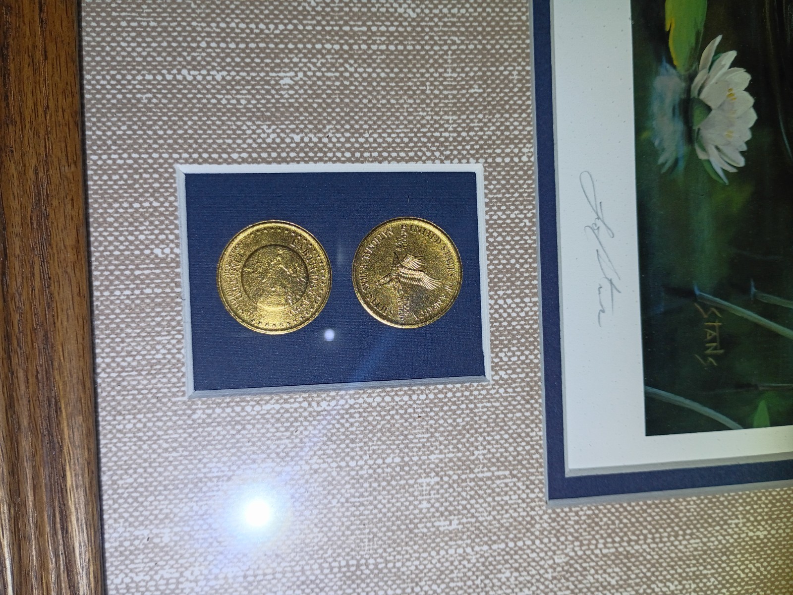 Desert Storm National Parks Bald Eagle Boundary Waters Leo Stans 1990 Framed