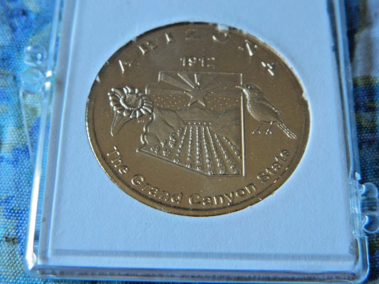 Petrified Forest National Park Coin