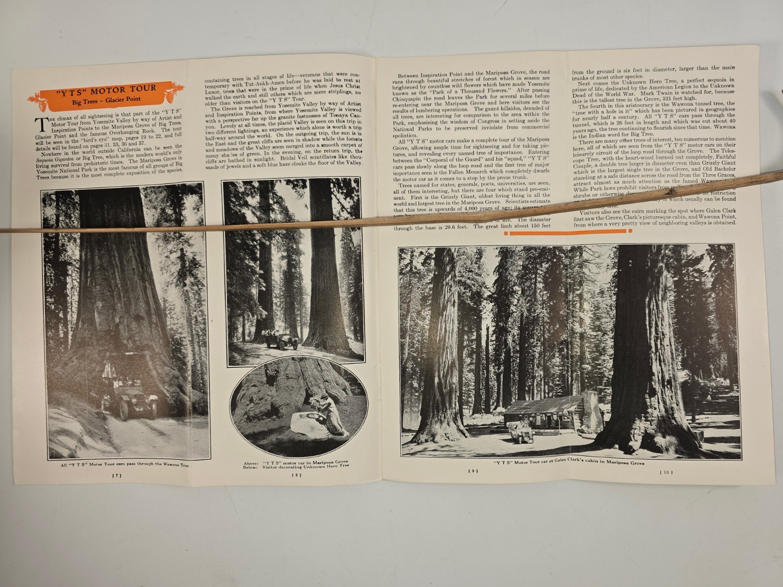 Rare Antique 1923 Yosemite Travel Brochure & Gunnar Widforss Centerfold Map EUC