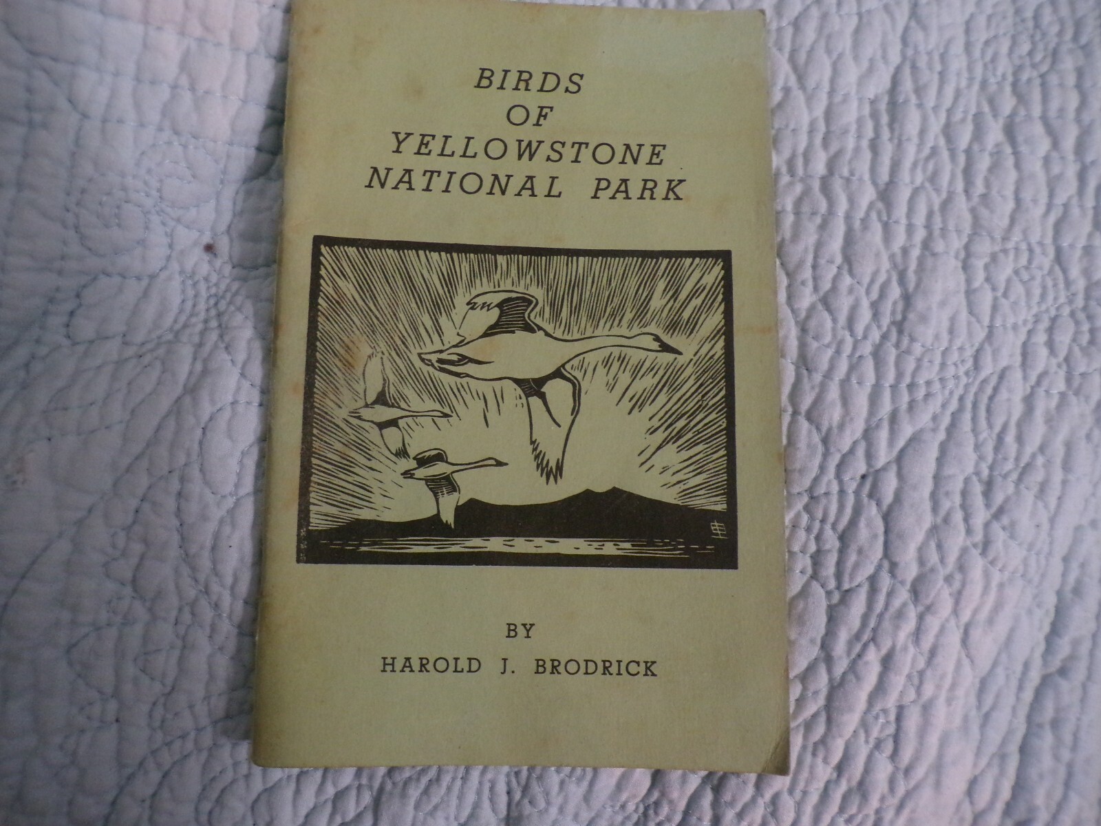 1952 Birds of Yellowstone National Park by Harold J. Brodrick w/ Guide Map