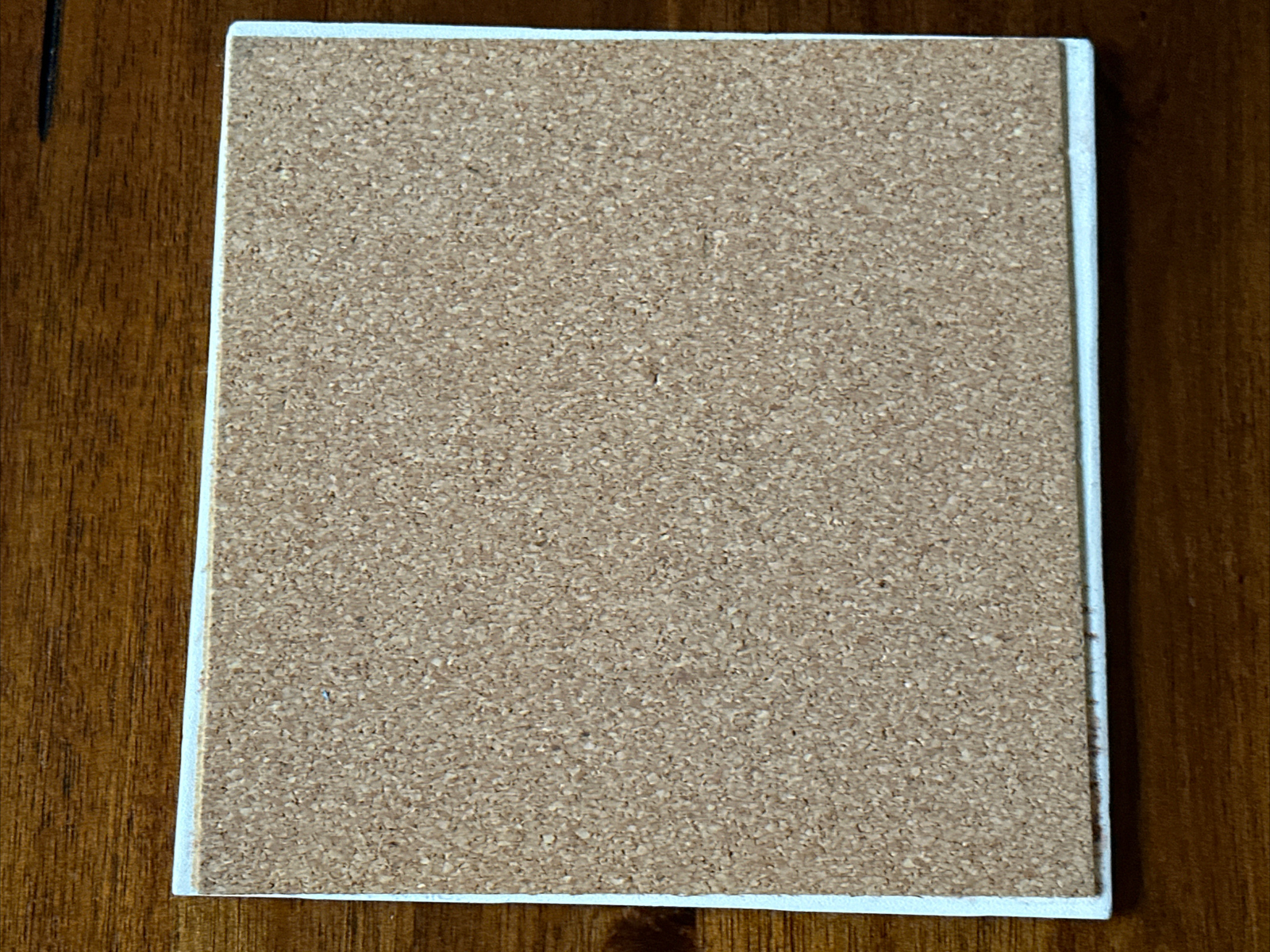 Yellowstone National Park Ceramic Tile Footprints Wall Hanging Picture Trivet