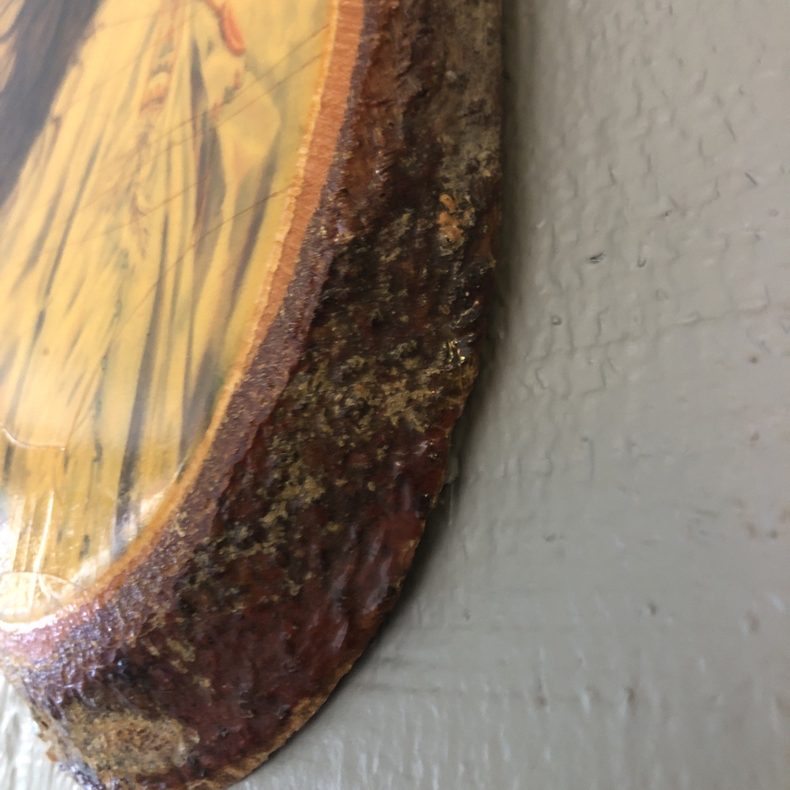 Indian Woman Yellowstone National Park USA Crackled Shellac Wall Hanging Wood