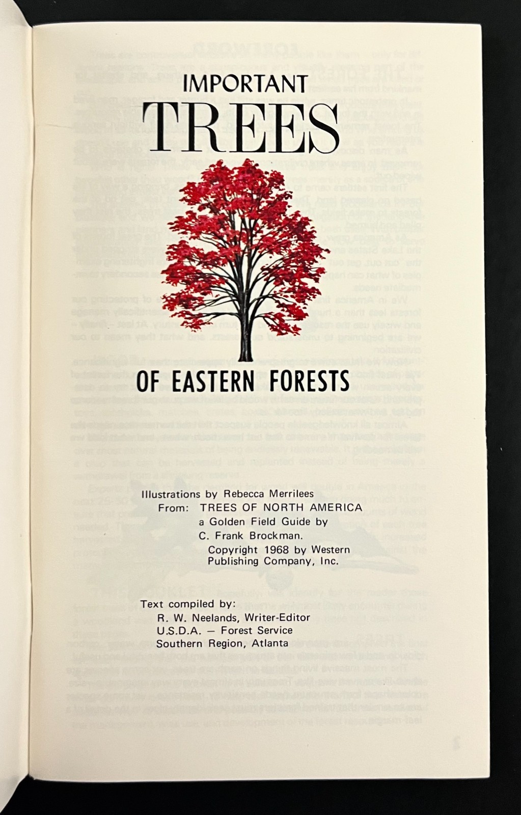 1979 USDA Eastern Forests Important Trees Nature Guide Vintage Travel Booklet