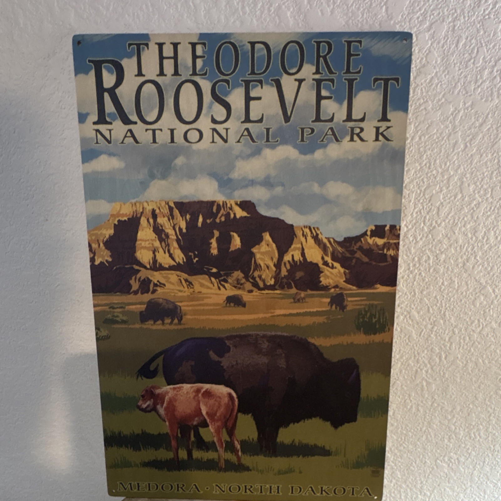 Theodore Roosevelt National Park Medora North Dakota Metal Wall Sign Plaque