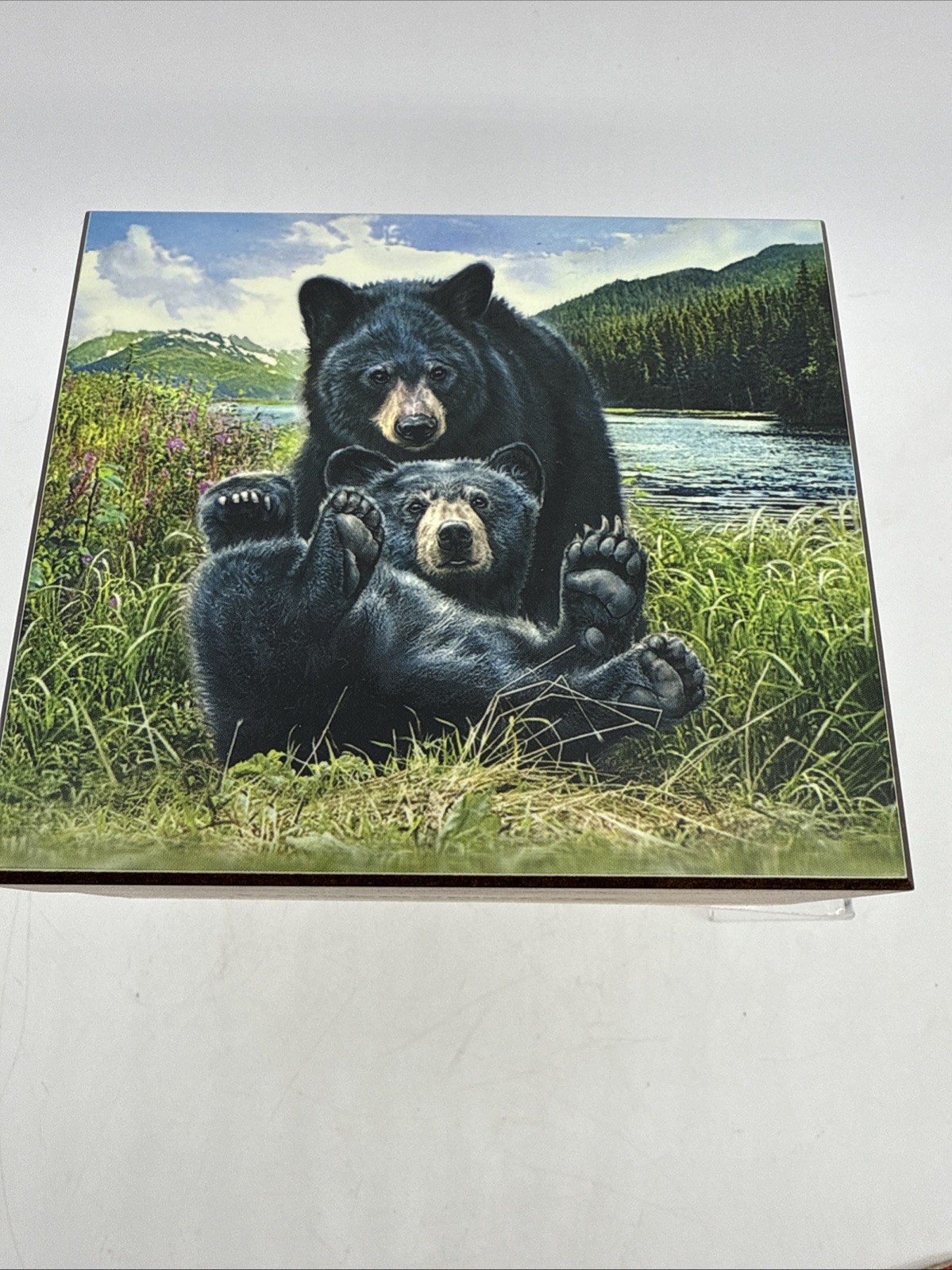 Vintage Shenandoah National Park Cedar Box Bear Theme Nature Wood Souvenir