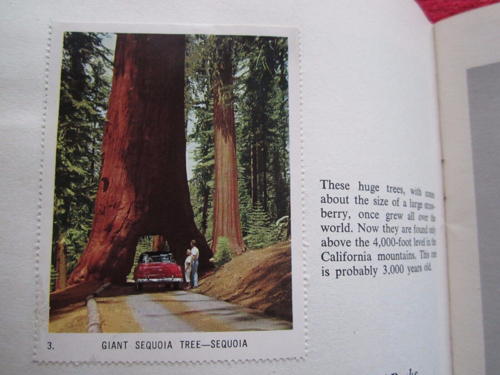 1957 NATIONAL PARK WONDERLANDS 64 PAGE STICKER BOOKLET