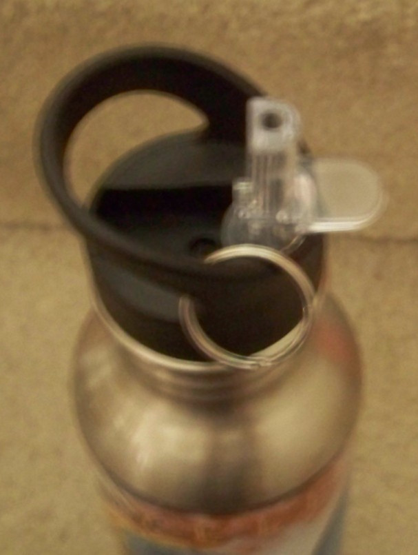 Yellowstone National Park aluminum metal travel bottle Old Faithful bears buffs