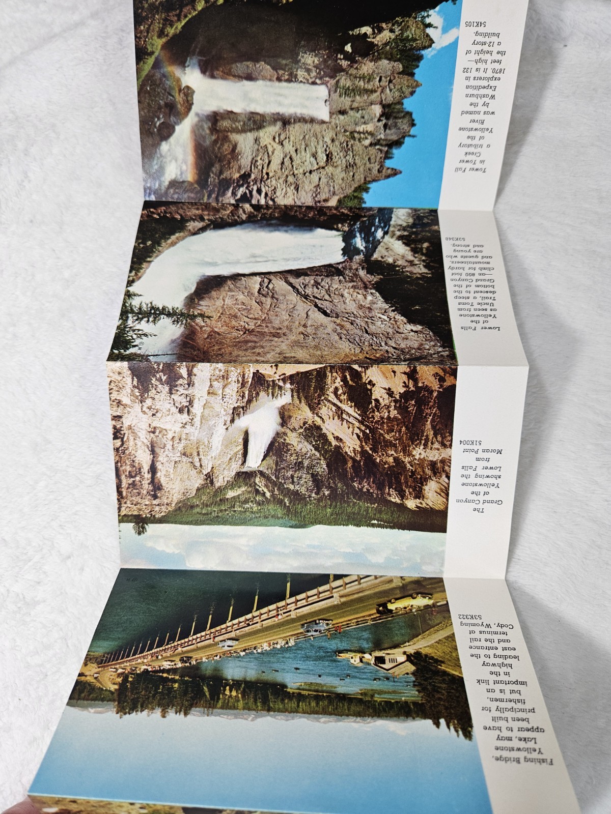 YELLOWSTONE NATIONAL PARK 1957 “PICTURAMIC” Unused Post Card With Photos