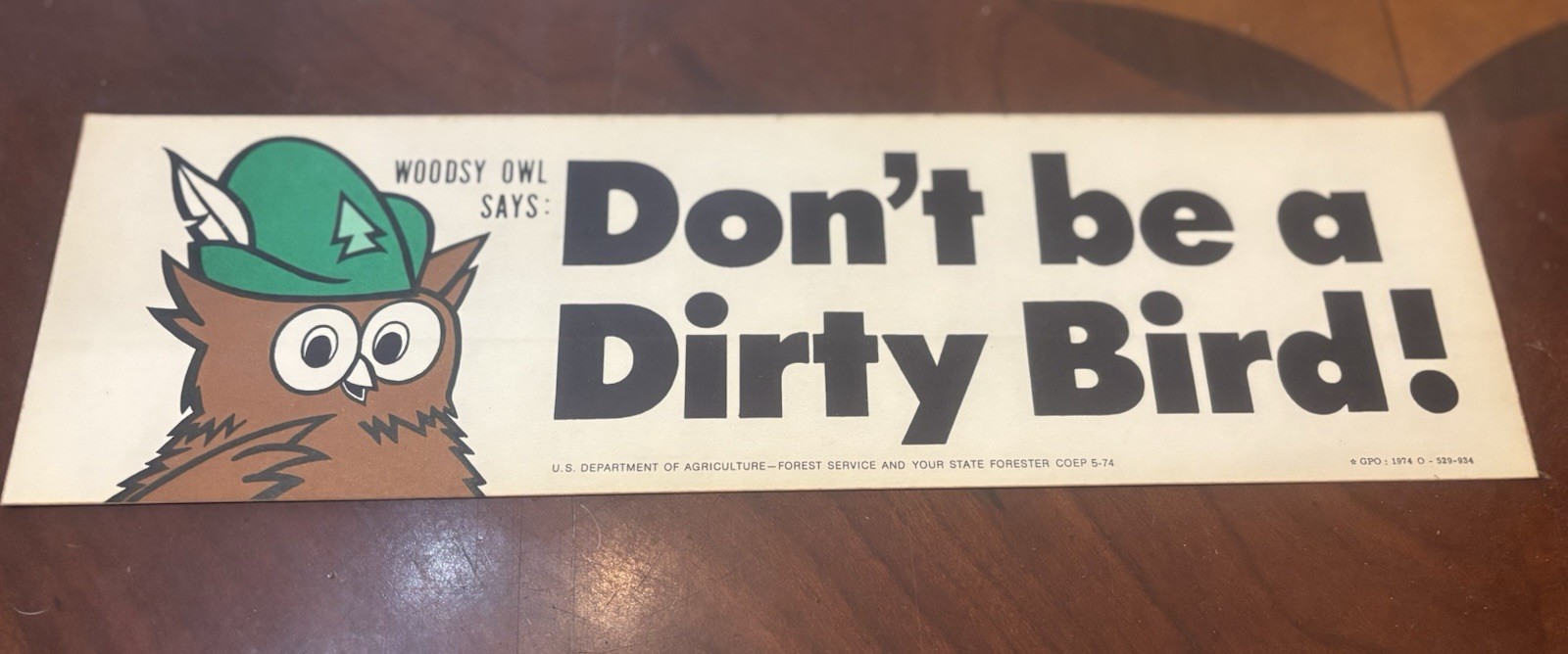 Vintage Woodsy Owl Bumper Sticker- 1974 “Don’t Be A Dirty Bird”